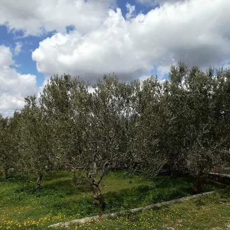 Kuca Za Odmor Mile Holiday home Drnis