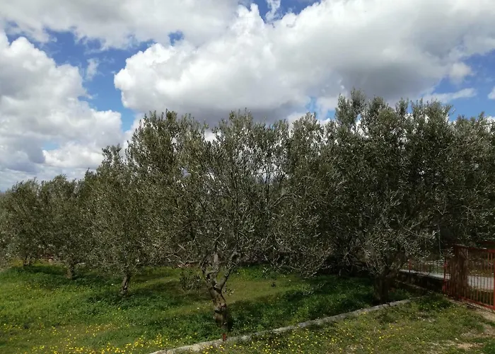 Kuca Za Odmor Mile Vakantiehuis Drniš